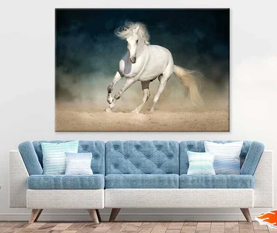 Running White Horse Photograph Print 100% Australian Made