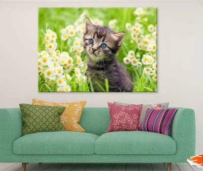 Little Kitten in Flowers View Photograph Print 100% Australian Made
