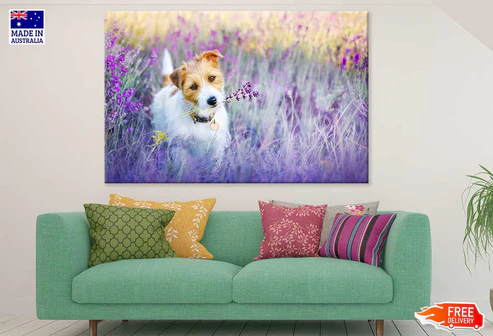 Dog on Flower Field Photograph Print 100% Australian Made