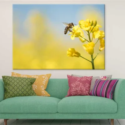 Bee on Yellow Flower Plant View Photograph Print 100% Australian Made