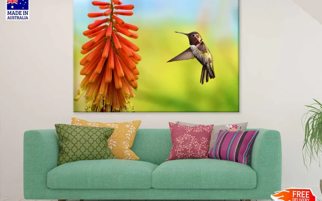 Tiny Hummingbird View Photograph Print 100% Australian Made