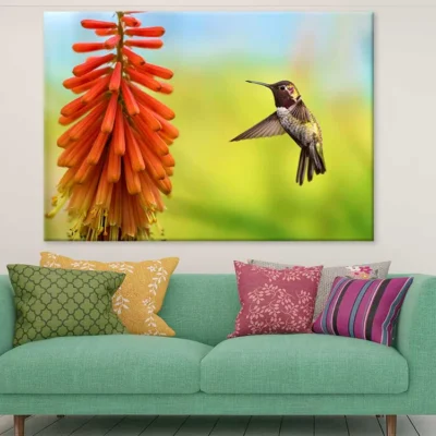 Tiny Hummingbird View Photograph Print 100% Australian Made