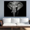 Elephant Closeup B&W Photograph Print 100% Australian Made - Image 2