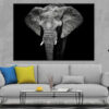 Elephant Closeup B&W Photograph Print 100% Australian Made