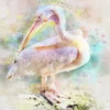 Pelican Bird Watercolor Painting Home Decor Premium Quality Poster Print Choose Your Sizes - Image 3