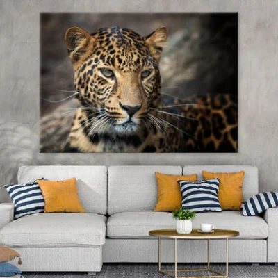 Young Leopard Face Coseup View Photograph Print 100% Australian Made