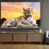 Tiger Sunset Sky View Print Tempered Glass Wall Art 100% Made in Australia Ready to Hang - Image 2