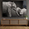 Elephant Baby B&W View Print Tempered Glass Wall Art 100% Made in Australia Ready to Hang - Image 2
