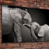 Elephant Baby B&W View Print Tempered Glass Wall Art 100% Made in Australia Ready to Hang
