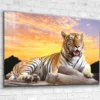 Tiger Sunset Sky View Print Tempered Glass Wall Art 100% Made in Australia Ready to Hang
