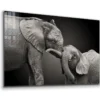 Elephant Baby B&W View Print Tempered Glass Wall Art 100% Made in Australia Ready to Hang - Image 3