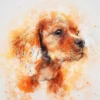 Baby Dog Closeup Abstract Design Print 100% Australian Made - Image 2