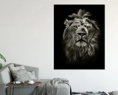 Black and white Lion Stunning Print 100% Australian Made