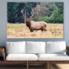 Elk in Forest Photograph Print 100% Australian Made