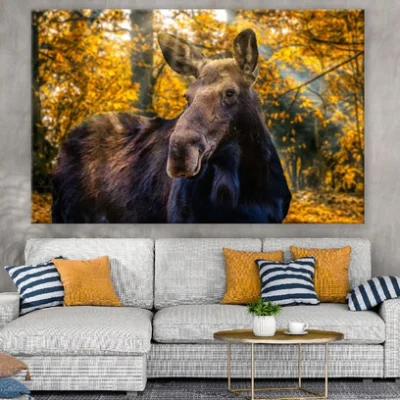 Moose in Forest Closeup Photograph Print 100% Australian Made
