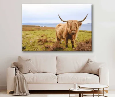 Bella Home Scottish Highland Cow on Field Print Canvas Ready to hang