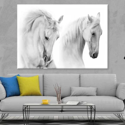 White Horses Closeup Photograph Print 100% Australian Made