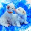 Cats & Blue Color Abstrct Design Print 100% Australian Made - Image 2