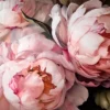 Pink Peony Flowers Bouquet Glass Framed Wall Art, Ready to Hang Quality Print - Image 2