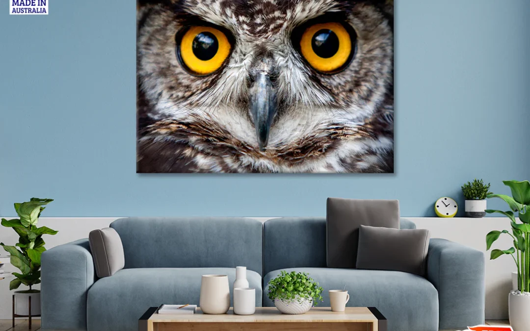 Close-Up of an Owl’s Eyes Print 100% Australian Made
