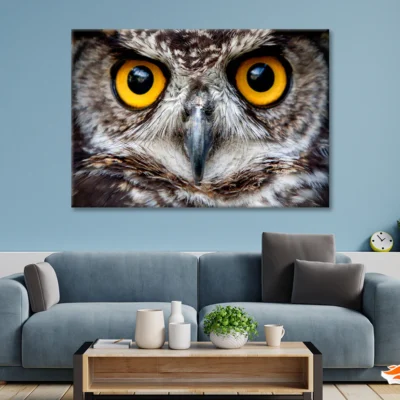 Close-Up of an Owl's Eyes Print 100% Australian Made