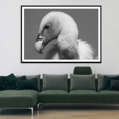 Vulture Bird B&W View Photograph Home Decor Premium Quality Poster Print Choose Your Sizes