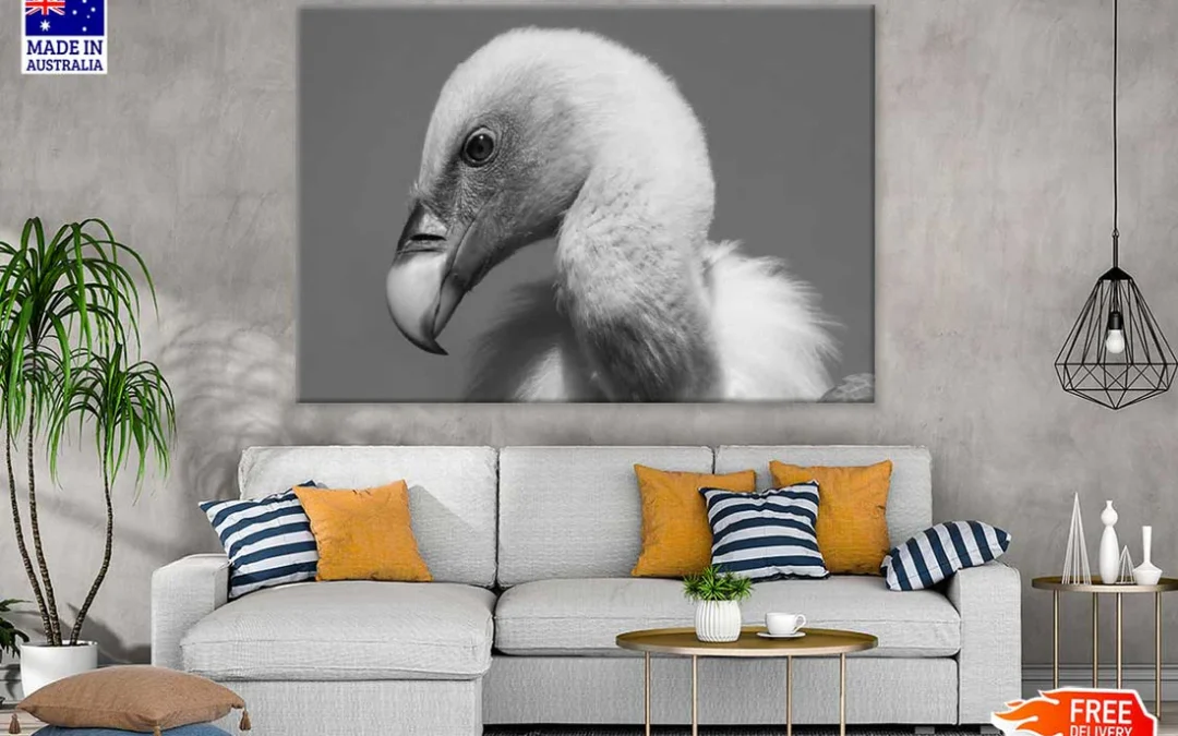 Vulture Bird B&W View Photograph Print 100% Australian Made