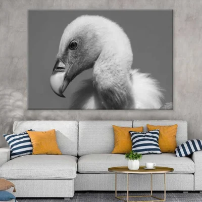 Vulture Bird B&W View Photograph Print 100% Australian Made