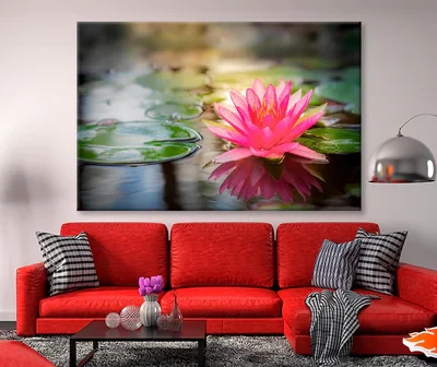 Pink Lotus Flower On Lake & Nature Wall Art Decor 100% Australian Made