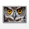 Close-Up of an Owl's Eyes Home Decor Premium Quality Poster Print Choose Your Sizes - Image 3
