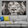 Lion face Closeup B&W Photograph Print 100% Australian Made