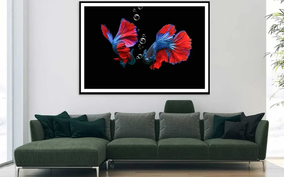 Fighting Fish on Dark View Photograph Home Decor Premium Quality Poster Print Choose Your Sizes