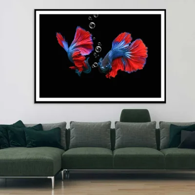 Fighting Fish on Dark View Photograph Home Decor Premium Quality Poster Print Choose Your Sizes