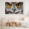 Close-Up of an Owl's Eyes Home Decor Premium Quality Poster Print Choose Your Sizes