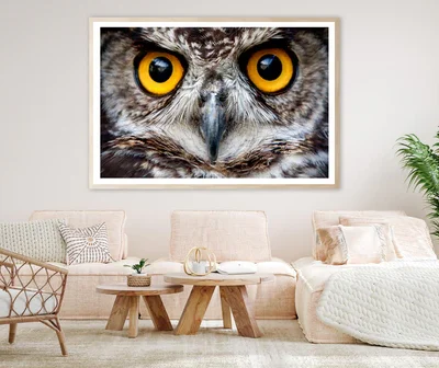 Close-Up of an Owl's Eyes Home Decor Premium Quality Poster Print Choose Your Sizes