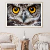 Close-Up of an Owl's Eyes Home Decor Premium Quality Poster Print Choose Your Sizes - Image 2