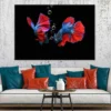 Fighter Fish on Dark View Photograph Print 100% Australian Made