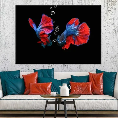 Fighter Fish on Dark View Photograph Print 100% Australian Made