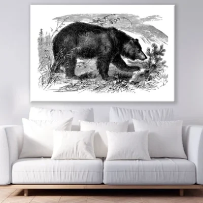 Bear B&W Art Design Print 100% Australian Made