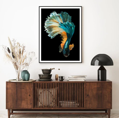 Fighter Fish Closeup Photograph Home Decor Premium Quality Poster Print Choose Your Sizes