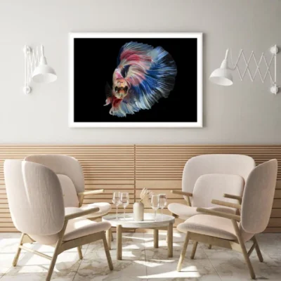 Fighter Fish Closeup Photograph Home Decor Premium Quality Poster Print Choose Your Sizes