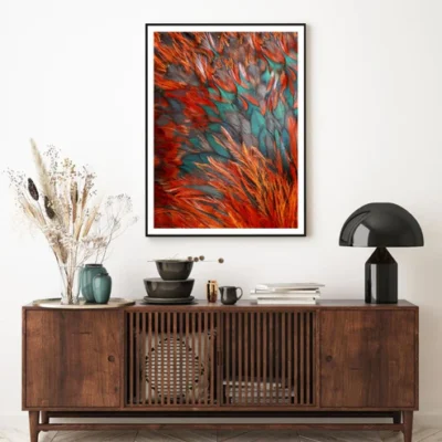 Colorful Bird Feathers Photograph Home Decor Premium Quality Poster Print Choose Your Sizes