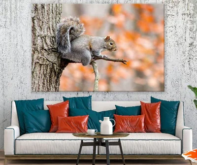 Grey Squirrel on Tree Branch Photograph Print 100% Australian Made