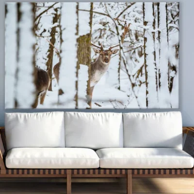 Deer in Snow Covered Forest Print 100% Australian Made