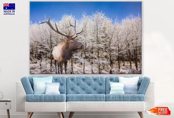 Deer in Snow Covered Forest Print 100% Australian Made