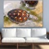 Turtles on Ground Photograph Print 100% Australian Made
