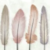 Colorful Feathers Watercolor Painting Home Decor Premium Quality Poster Print Choose Your Sizes - Image 2
