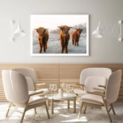 Highland Cow Herd Photograph Home Decor Premium Quality Poster Print Choose Your Sizes