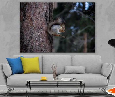 White Grey Squirrel on Tree Branch Photograph Print 100% Australian Made