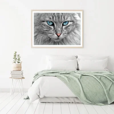 Cat Portrait Closeup Photograph Home Decor Premium Quality Poster Print Choose Your Sizes